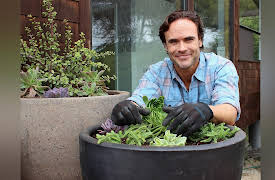 Vacation House for Free Season 1: Monterey Bay Escape