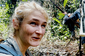 Secret Amazon: Into the Wild: The Bushmaster Snake