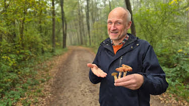 17:45: Zwischen Spessart und Karwendel | BR Fernsehen | 10/17 2026