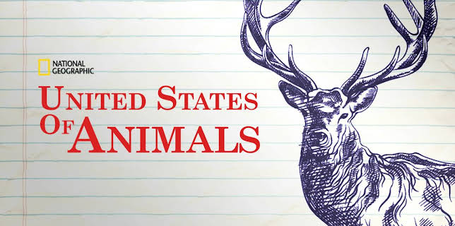 United States of Animals
