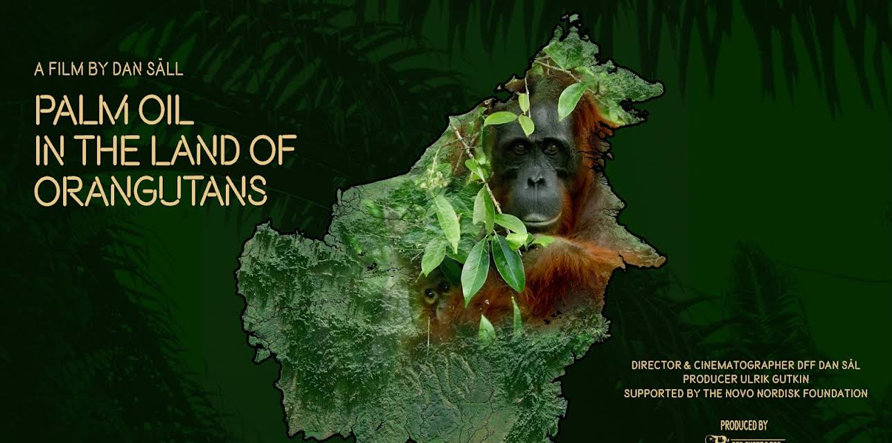 Palm Oil in the land of Orangutans (2024)