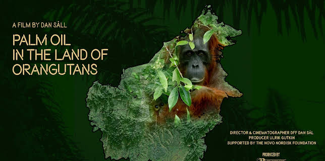 Palm Oil in the land of Orangutans (2024)