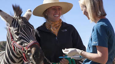 3:00 PM: Dr. Jeff: Rocky Mountain Vet (S4) | Discovery Channel | 8/18 2026