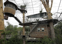 Treehouse Masters