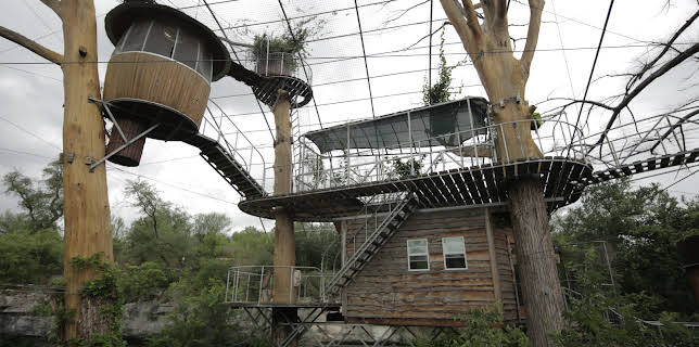 14:00: Treehouse Masters (S7 E20) (S7) | Animal Planet | 1/9 2026