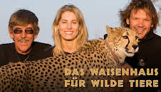 Das Waisenhaus für wilde Tiere