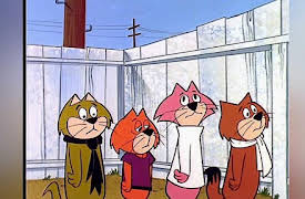 Top Cat: The Complete Series: Rafeefleas