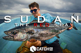 Sudan: The Red Sea: Stalking Impossible Fish on Crystal Clear Flats