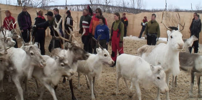 16:00: Et år på tur med Lars Monsen | NRK 2 | 1/16 2026