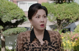 Beauty and Mr. Romantic: Beauty and Mr. Romantic Episode 24