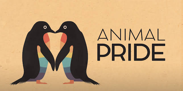 Animal Pride (2025)