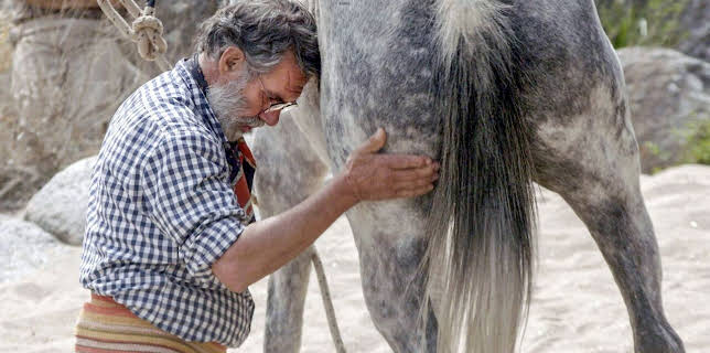 19:40: 360° Reportage | Arte | 2/21 2026