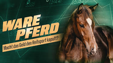 11:55: Sportclub Story | NDR Fernsehen | 10/6 2026