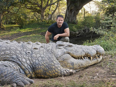 13:40: Krokodilen auf der Spur - mit Steve Backshall | Kabel Eins Doku | 9/11 2026