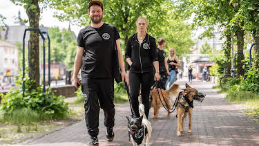 14:30: Die Nordreportage: Großes Herz für schwierige Hunde | Radio Bremen | 10/9 2026