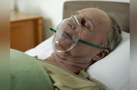 The Will: Family Secrets Revealed: The Estate of Norman Otto Hipel