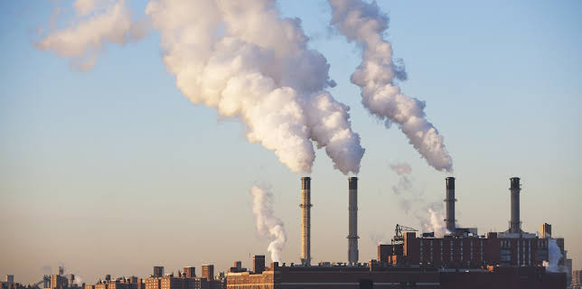 04:55: How Do They Do It? (S11 E17) (S11) | Kanal 9 | 11/25 2025