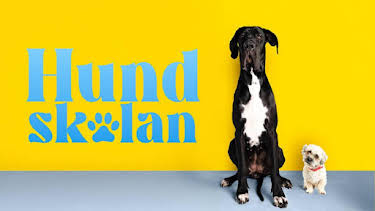 19:15: Hundskolan | SVT2 | 5/14 2026
