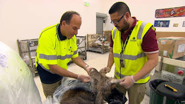 08:35: Border Patrol Australia | ProSieben Maxx | 4/2 2026