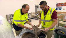 Border Patrol Australia