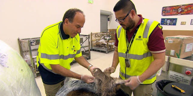 12:10: Border Patrol Australia | ProSieben Maxx | 12/12 2025