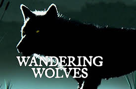 Wandering Wolves: Episode 2