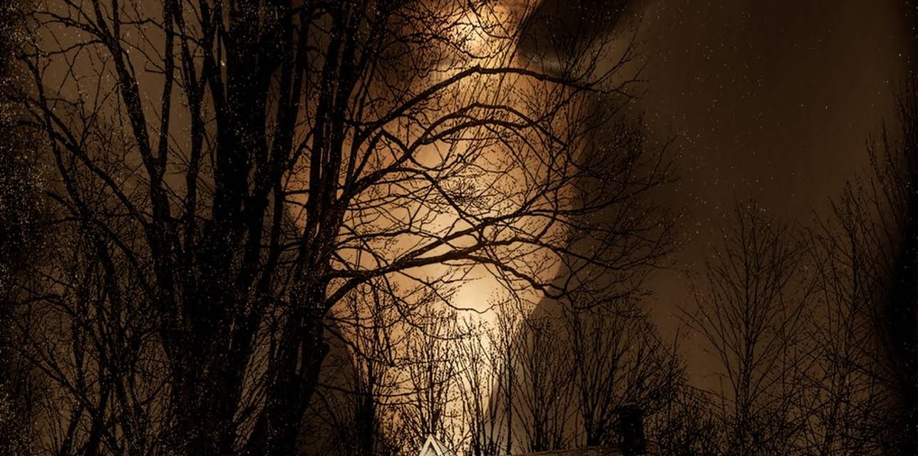 This is Our Home (2019)