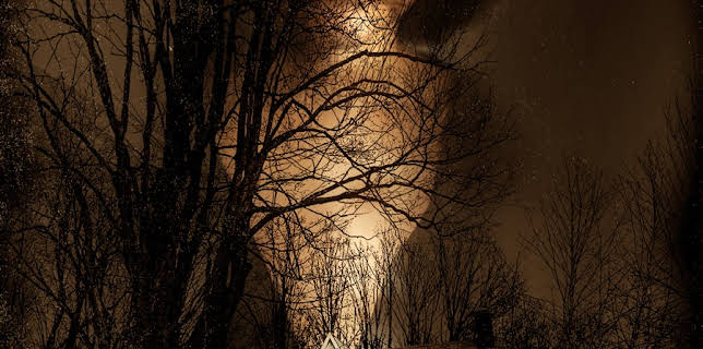 This is Our Home (2019)