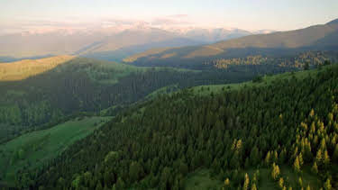 17:50: Freie Bahn für Wildtiere | Arte | 4/30 2026