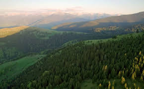 Freie Bahn für Wildtiere