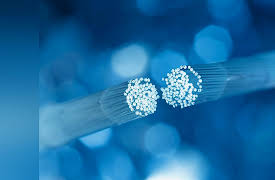 The Science of Information: From Language to Black Holes: Noise and Channel Capacity