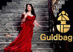 Guldbaggen - teckenspråkstolkat