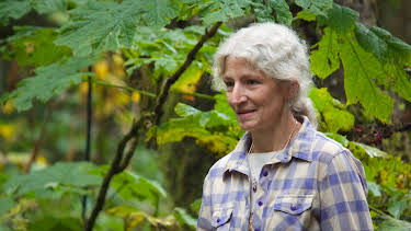 21:00: Alaskan Bush People (S3 E17) (S3) | Animal Planet | 4/16 2026