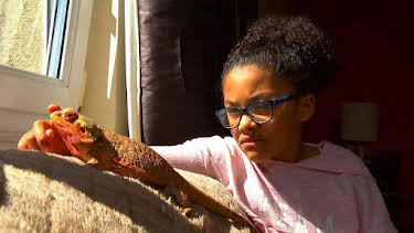 6:25 PM: Peataichean/Pets (S1 E7) (S1) | BBC Alba | 1/26 2026