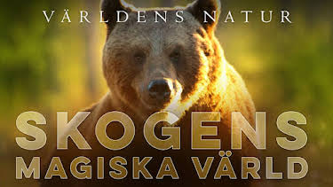 20:00: Världens natur: Skogens magiska värld | SVT2 | 4/15 2026