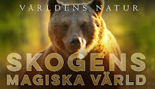 Världens natur: Skogens magiska värld