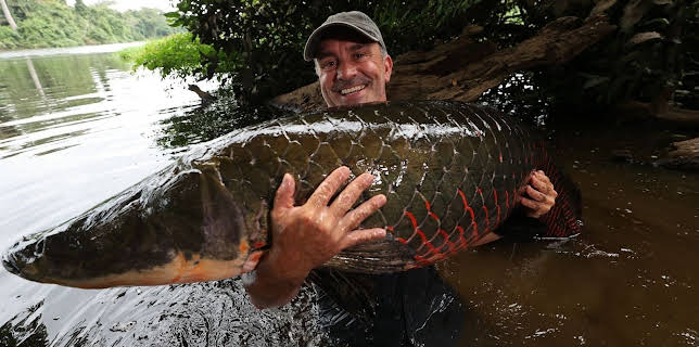 21:05: Giganten unter Wasser - Riesenfischen auf der Spur | Kabel Eins Doku | 1/9 2026