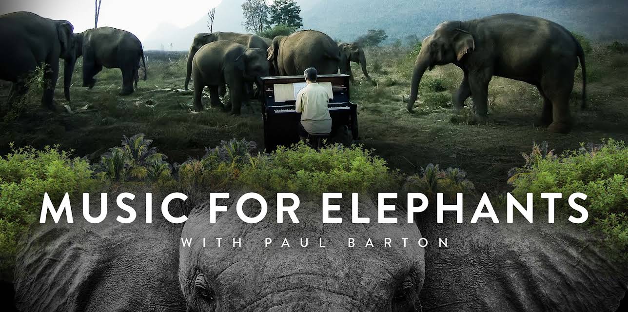 Music for Elephants (2014)
