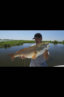 11:40: Los últimos gigantes: Episodio 5 | Caza y Pesca | 3/29 2026