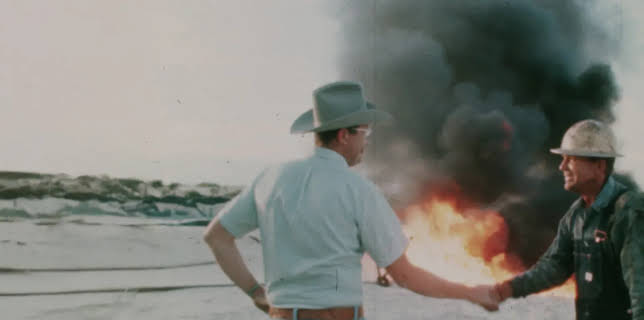 The White House Effect (2025)