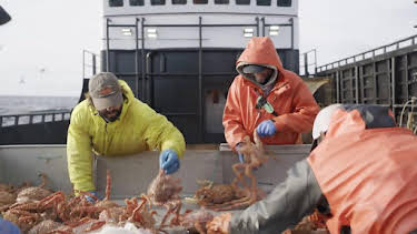 1:00 AM: Deadliest Catch (S19) | Discovery Channel | 9/15 2026