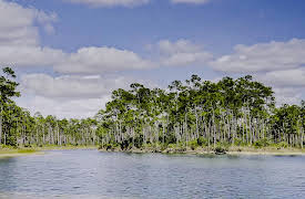 The National Parks: Nature Meditations: Everglades National Park