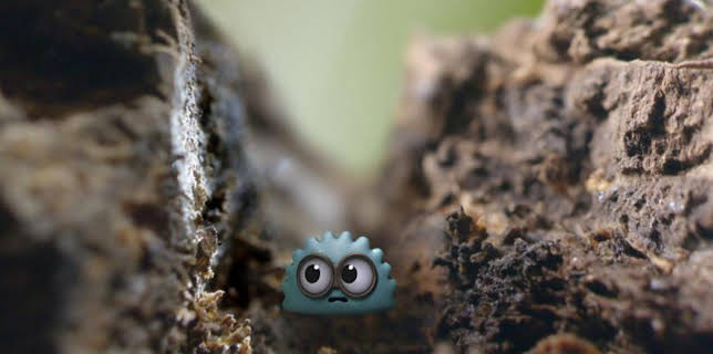 8:20 AM: Tiny Wonders (S1) | Cbeebies | 3/2 2026