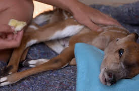 Work on the Wild Side, Season 1: Hard Decisions