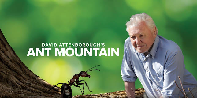 David Attenborough's Ant Mountain (2017)