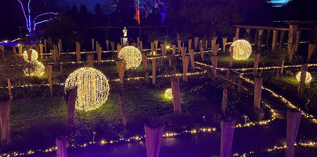 21:00: Expedition in die Heimat | SWR Fernsehen RP | 12/19 2025