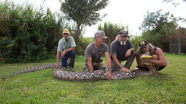 00:45: Guardians Of The Glades (S1 E12) (S1) | Animal Planet | 4/14 2026