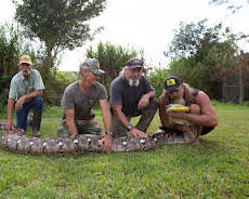 Guardians Of The Glades