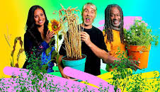 What’s in Your Plant Pot?