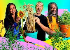 What’s in Your Plant Pot?